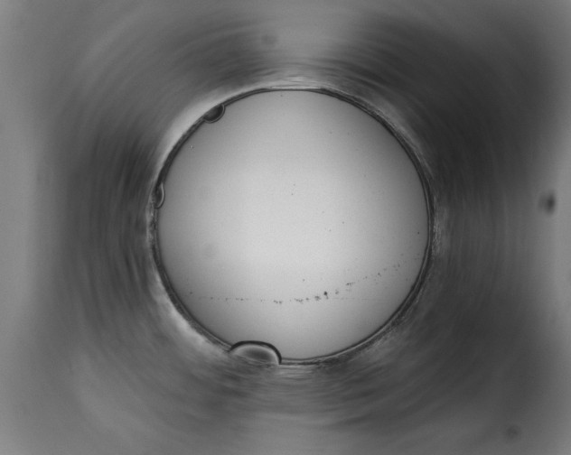 X0000115251484200911201631