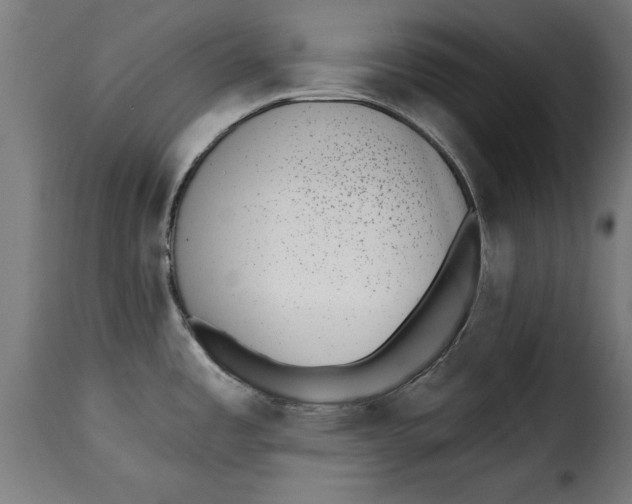 X0000115251485200911201631