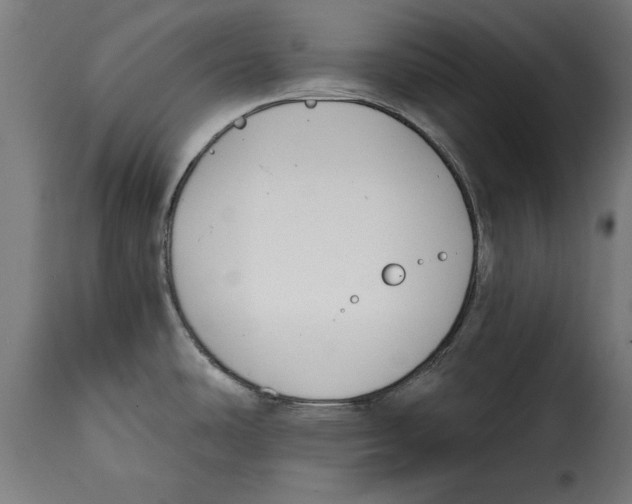 X0000115251486200911201631