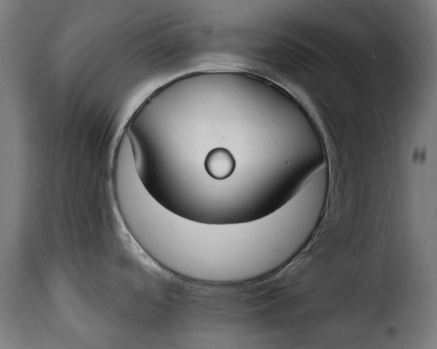 X0000115251488200911201631