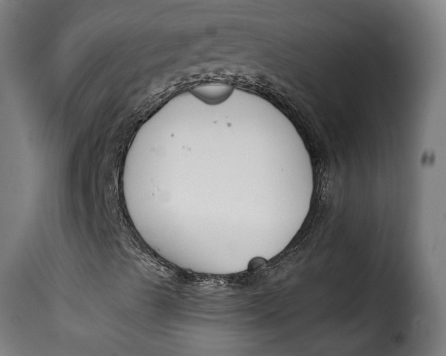 X0000115251489200911201631