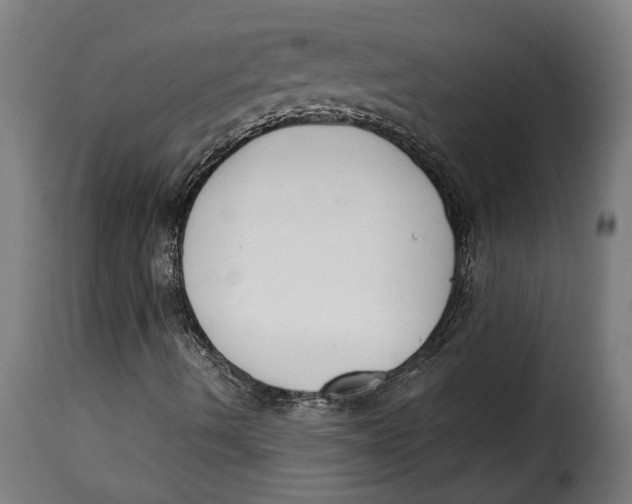 X0000115251490200911201631