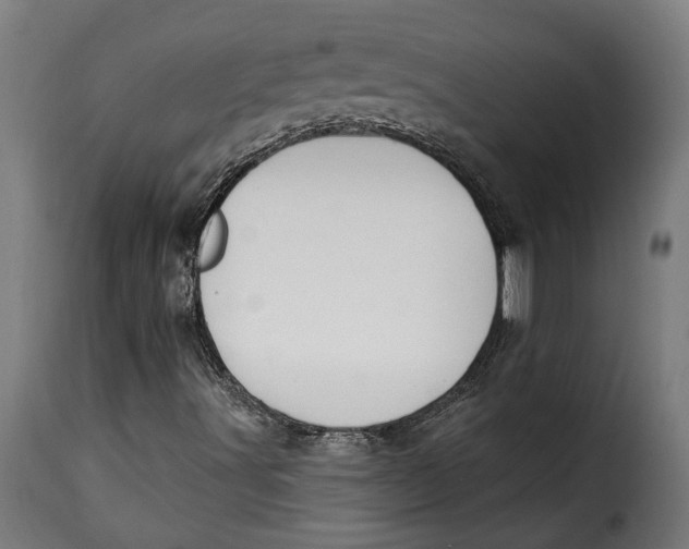 X0000115251491200911201631