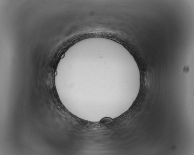 X0000115251493200911201631