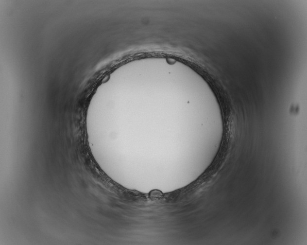 X0000115251494200911201631