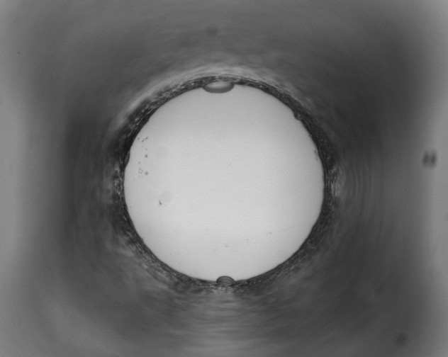 X0000115251495200911201631