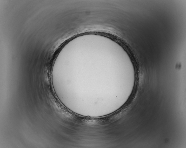 X0000115251497200911201631