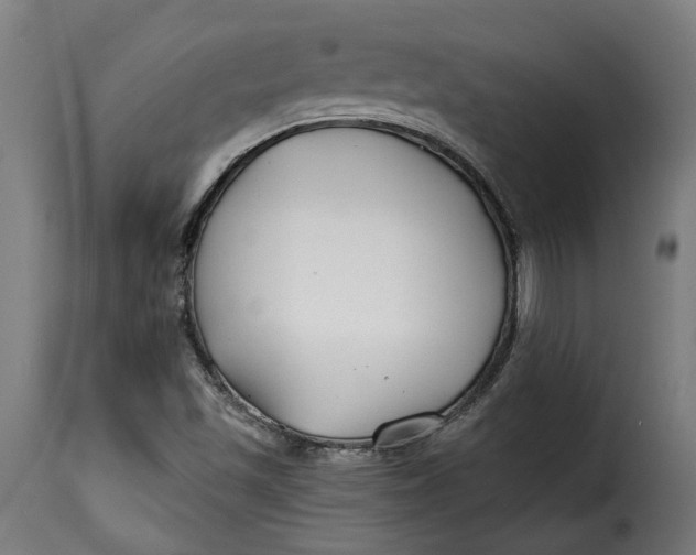 X0000115251501200911201631