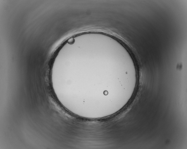 X0000115251502200911201631