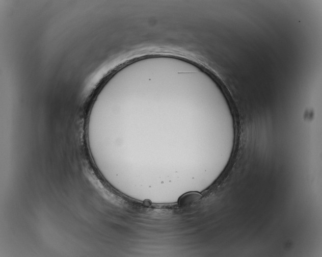 X0000115251503200911201631