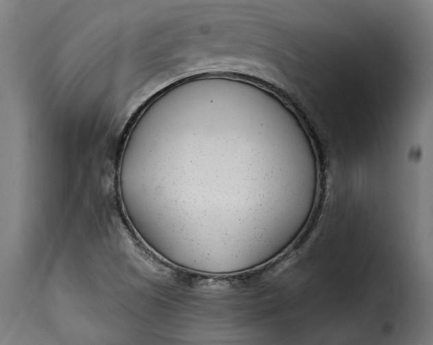 X0000115251505200911201631