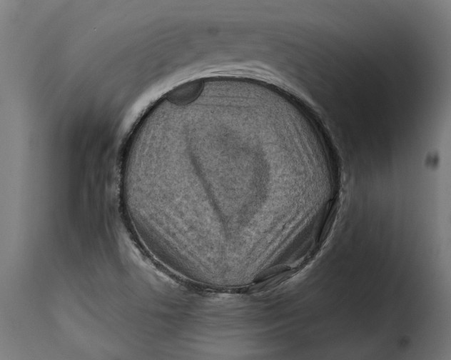 X0000115251506200911201631