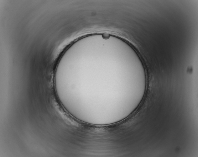 X0000115251507200911201631