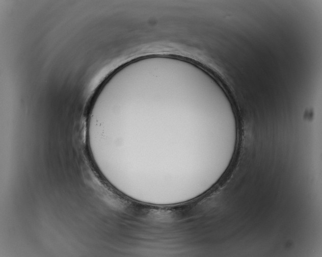 X0000115251509200911201631