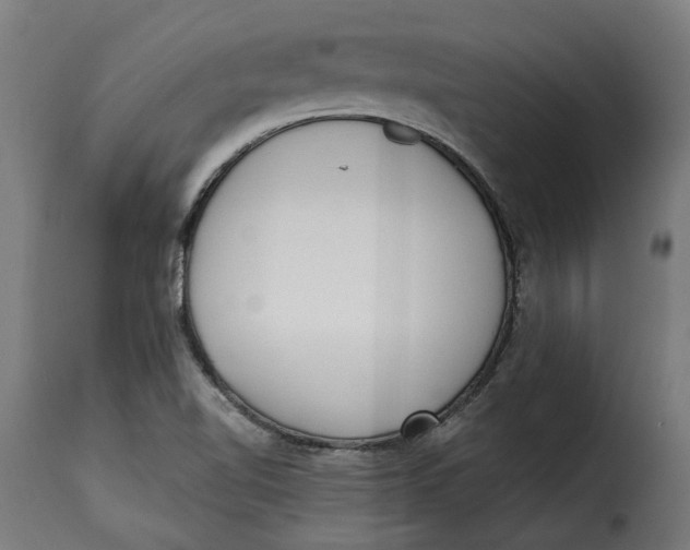 X0000115251510200911201631