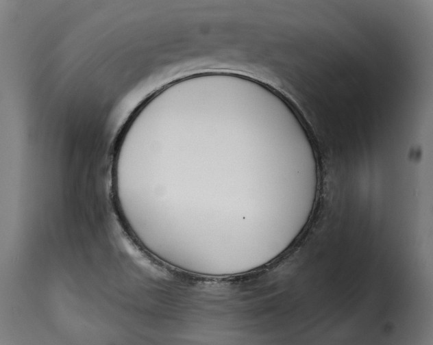 X0000115251511200911201631