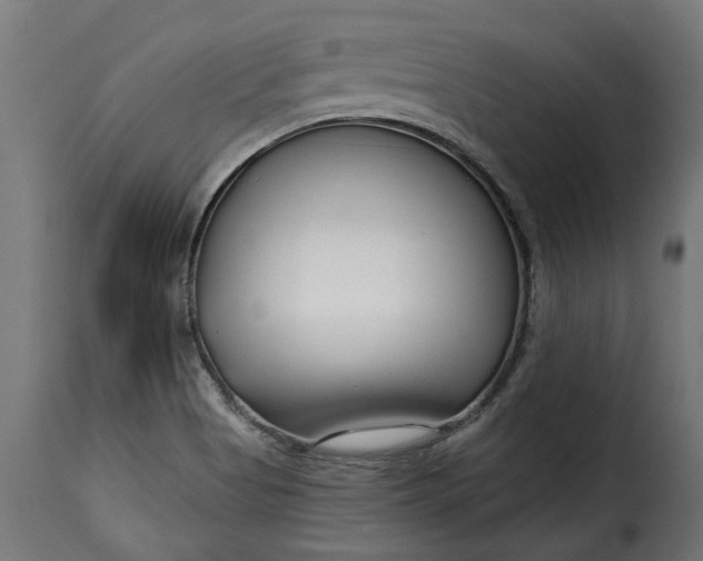 X0000115251513200911201631