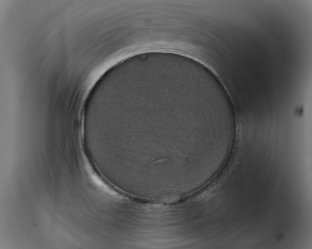 X0000115251515200911201631