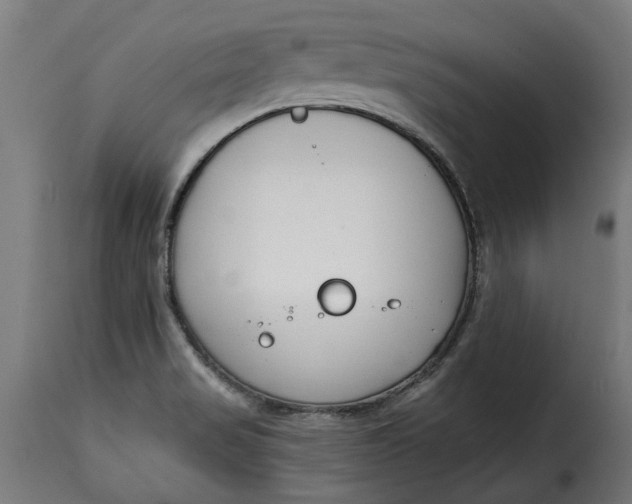 X0000115251517200911201631