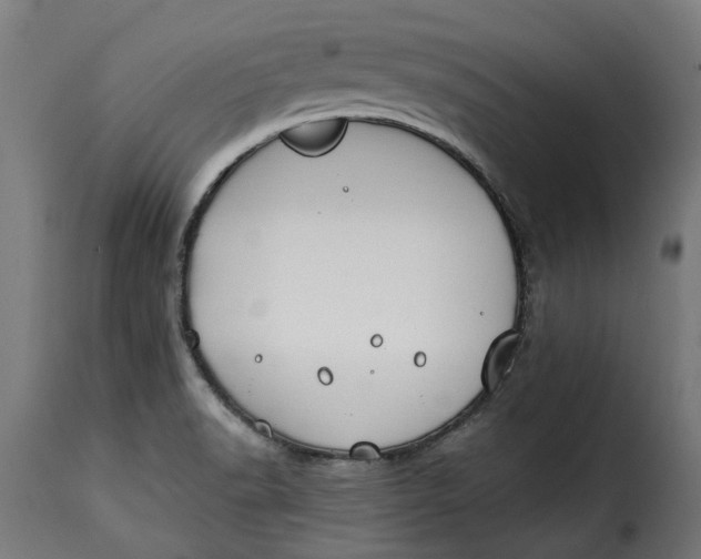 X0000115251518200911201631