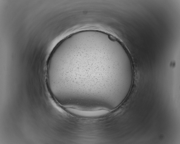 X0000115251519200911201631