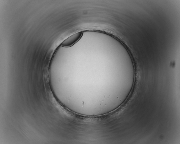 X0000115251521200911201631