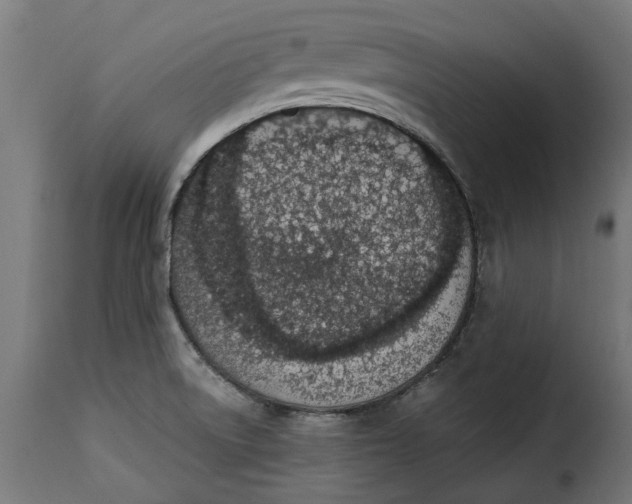 X0000115251522200911201631