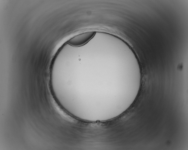 X0000115251523200911201631