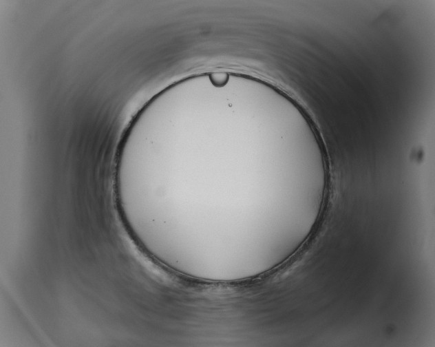 X0000115251525200911201631