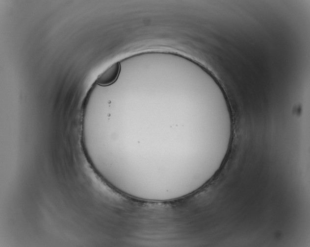 X0000115251526200911201631