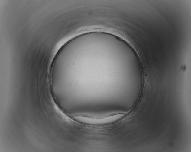 X0000115251527200911201631