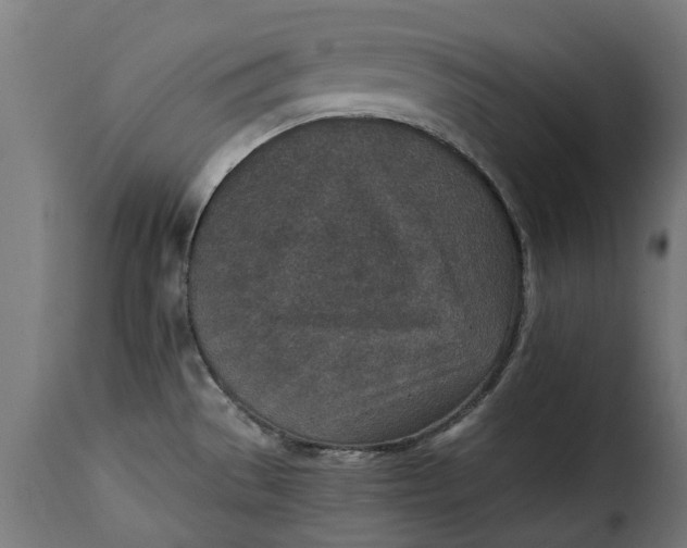 X0000115251529200911201631