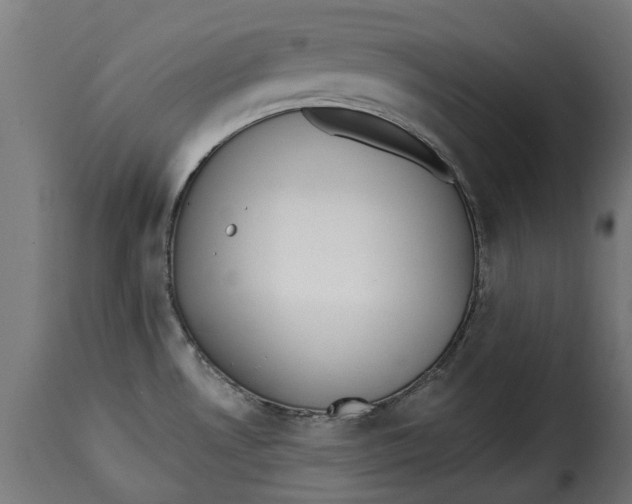 X0000115251530200911201631