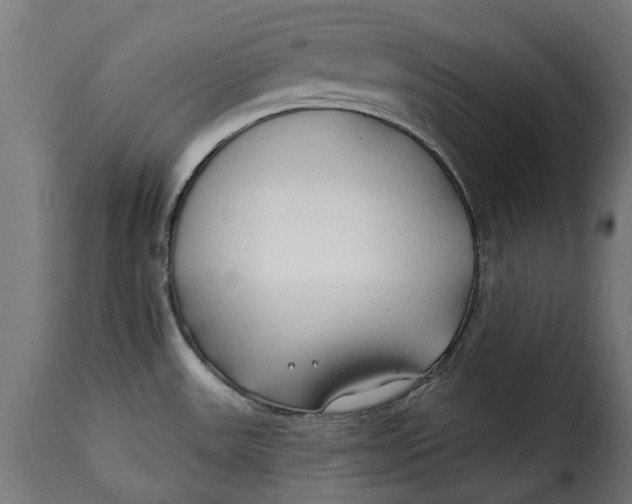 X0000115251531200911201631