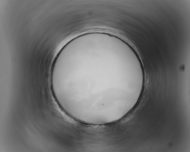 X0000115251533200911201631