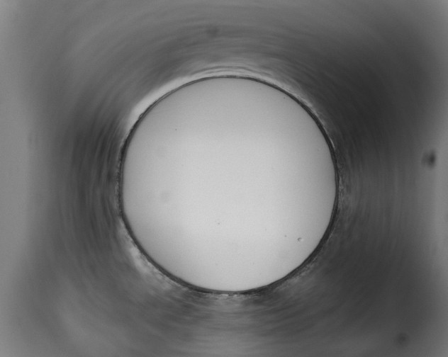 X0000115251534200911201631