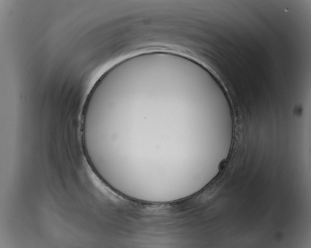 X0000115251535200911201631