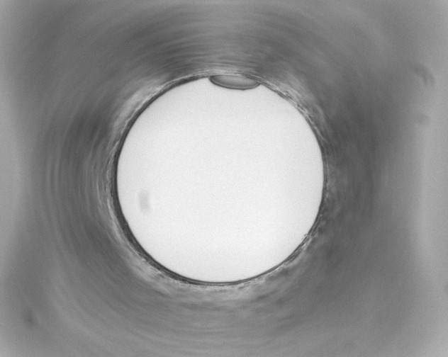 X0000115250001200911271914