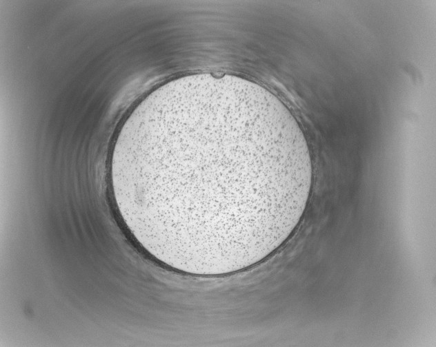 X0000115250002200911271914