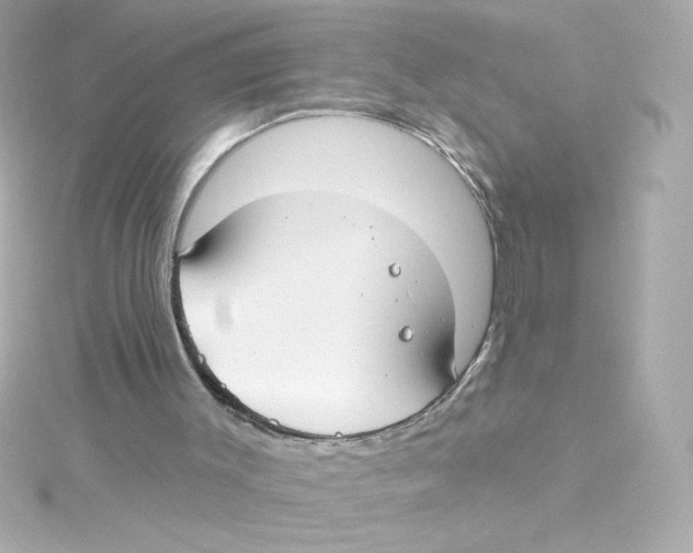 X0000115250003200911271914