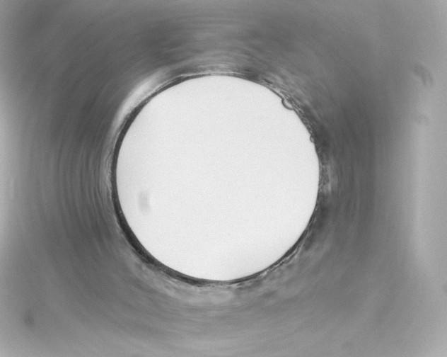 X0000115250004200911271914