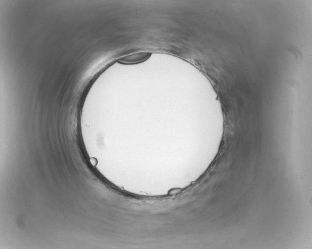 X0000115250005200911271914