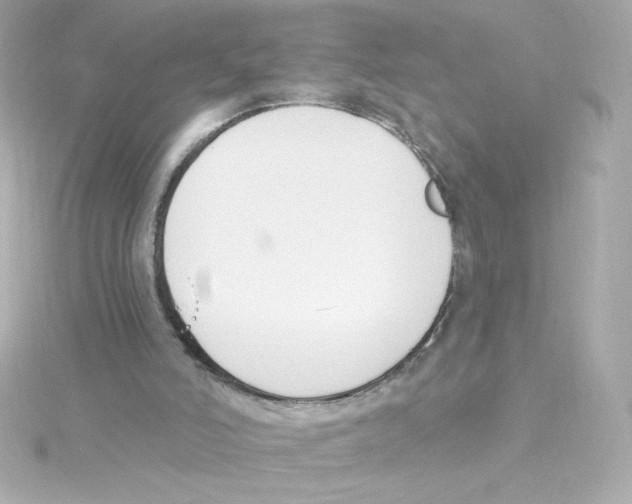 X0000115250006200911271914