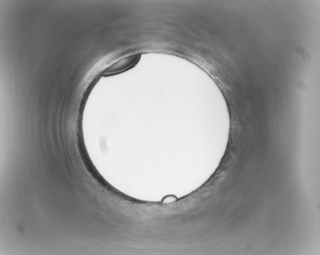 X0000115250007200911271914