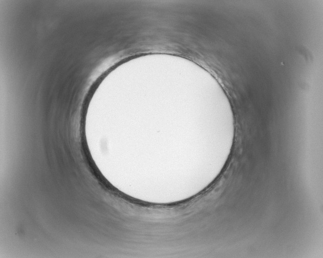 X0000115250008200911271914