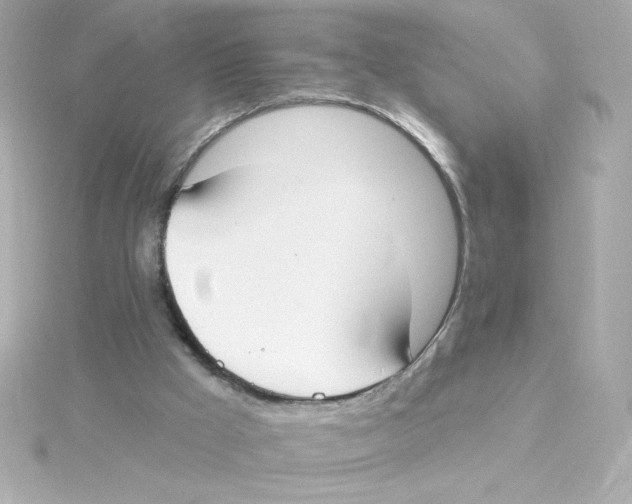 X0000115250009200911271914