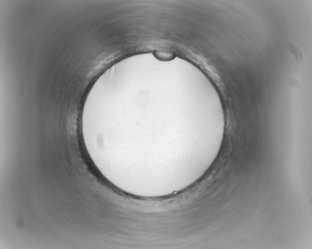 X0000115250010200911271914