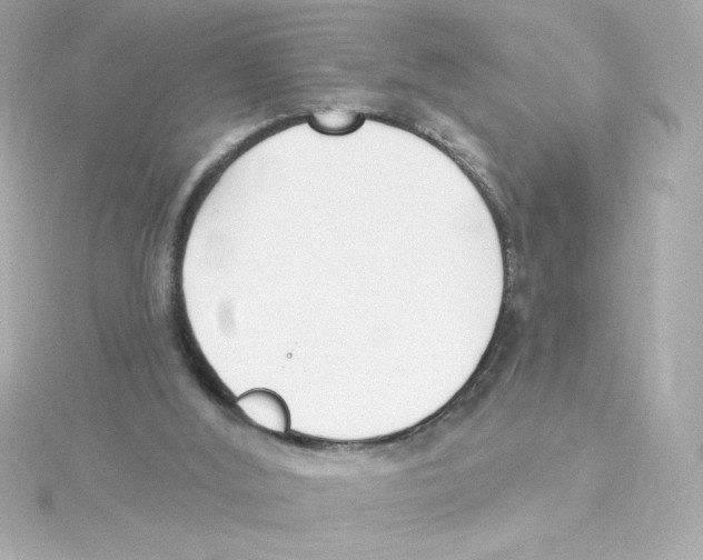 X0000115250012200911271914