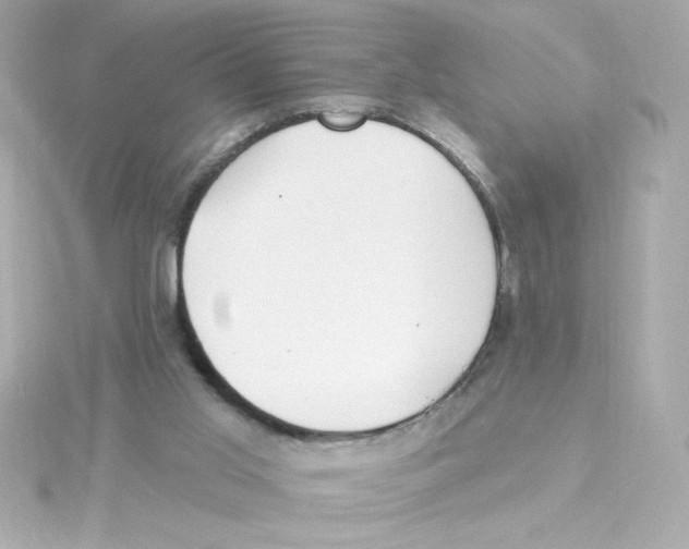 X0000115250013200911271914