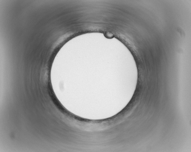 X0000115250016200911271914